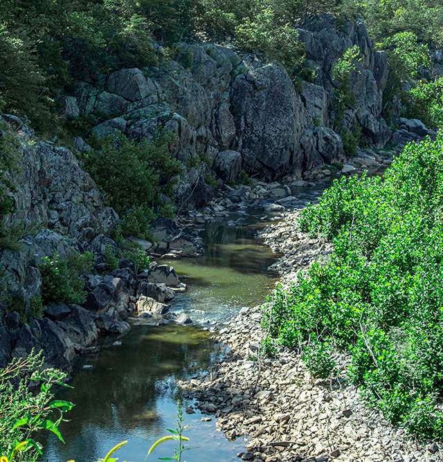 stream flowing next to a rock wall